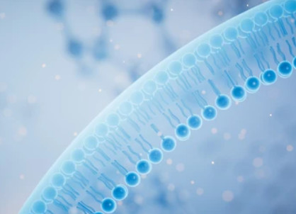 Co-Immunoprecipitation (Co-IP) 