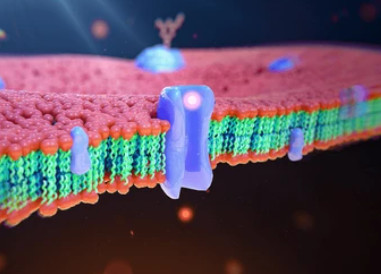 Fortebio Octet Molecular Interaction Analysis