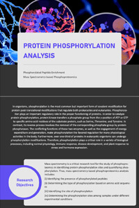 Protein Phosphorylation Analysis