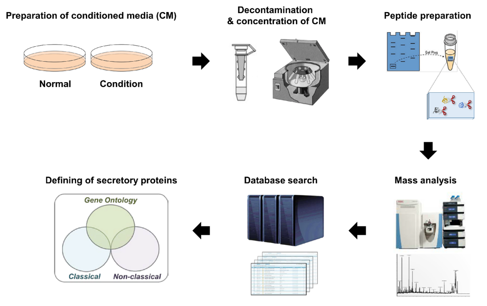 General workflow of cell secretome investigations
