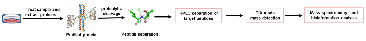 SWATH-DIA Protein Quantitation Service