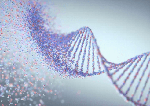 Analysis of Tumor Origin