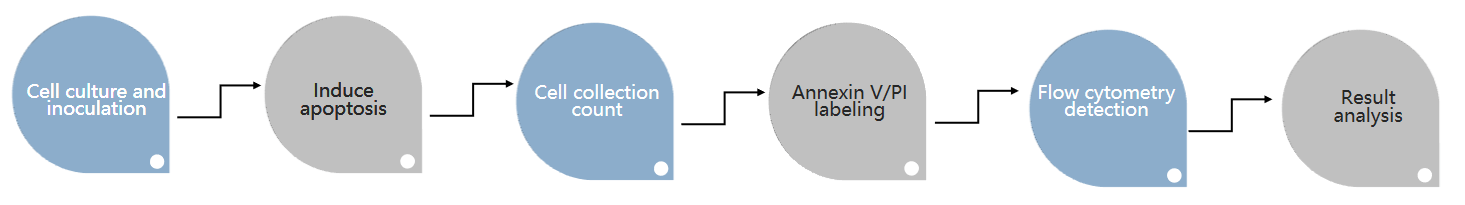 Apoptosis and Tumorigenesis Research