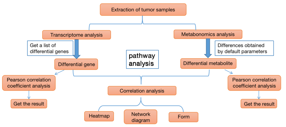 Combined Analysis of tumor by Transcriptomics and Metabonomics