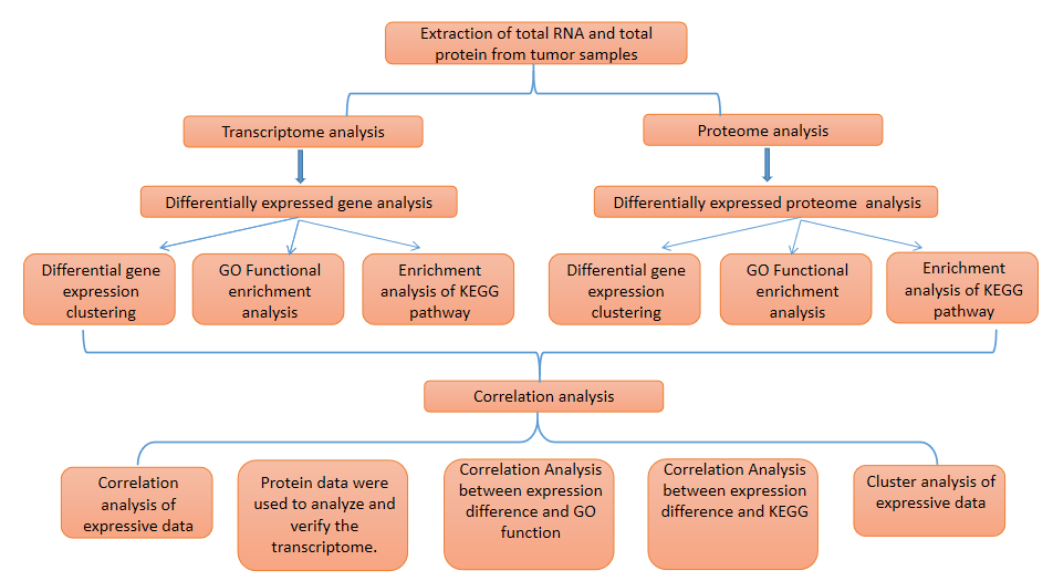 Combined Analysis of tumor by Transcriptomics and Proteomics