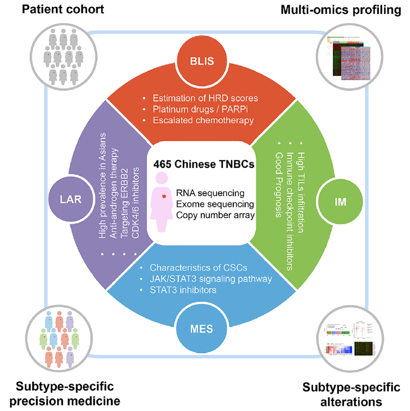 Genomic and Transcriptomic Landscape of Triple-Negative Breast Cancers