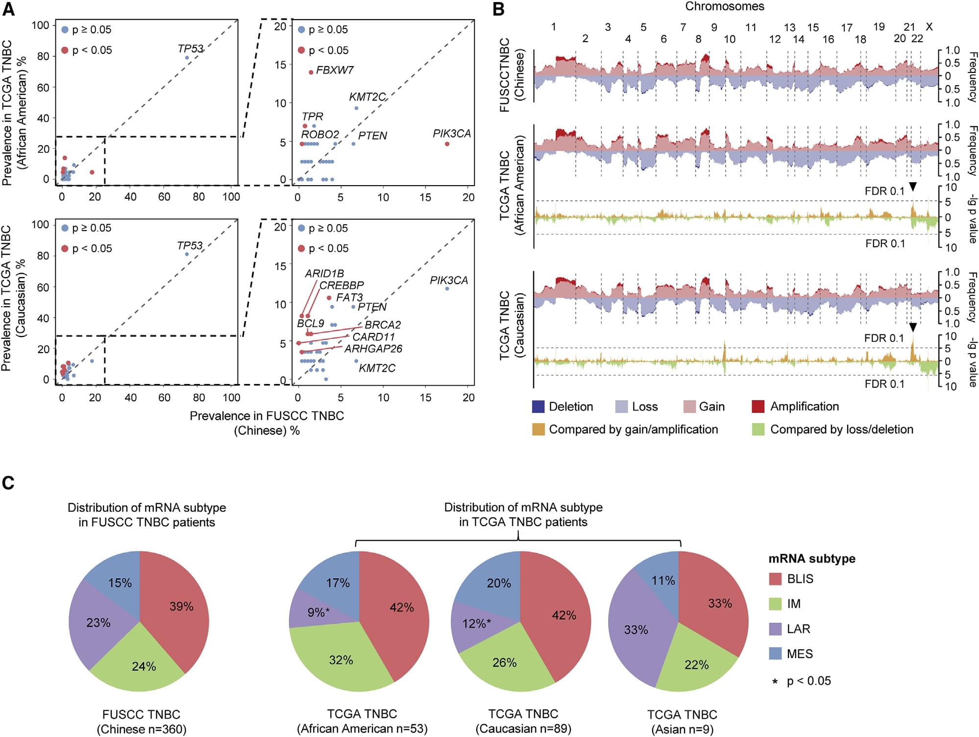 Genomic and Transcriptomic Landscape of Triple-Negative Breast Cancers