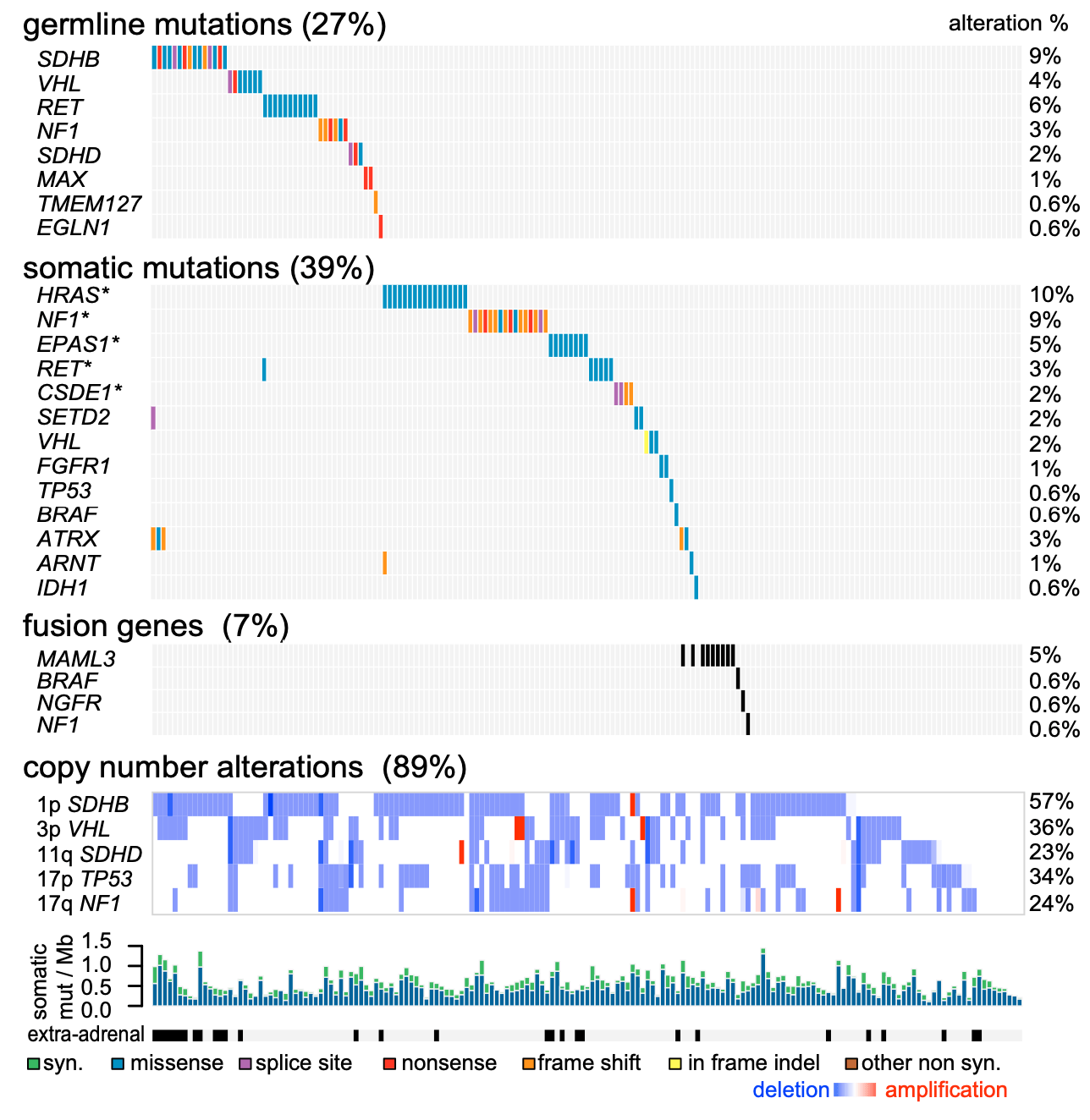 Multi-omics integration reveals molecular characteristics and molecular typing of neuroendocrine tumors