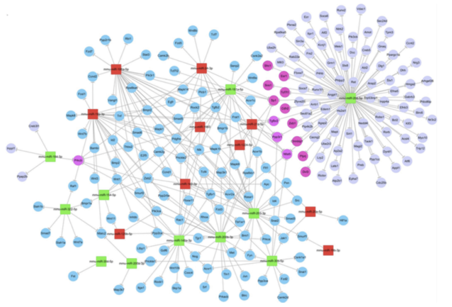 Negative Regulatory Association of miRNA-Transcriptomics