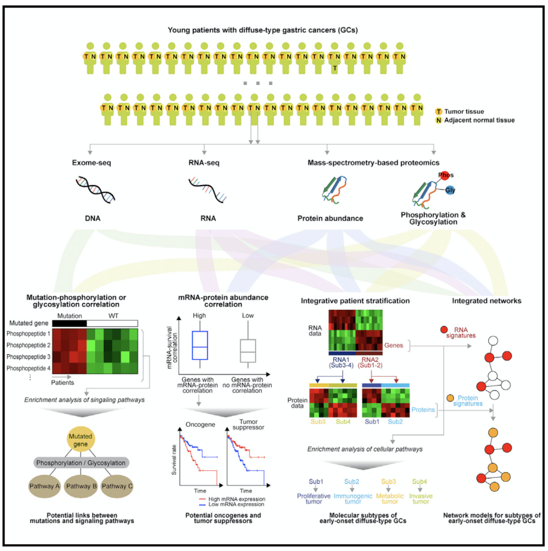 Proteomic analysis of early-onset gastric cancer.