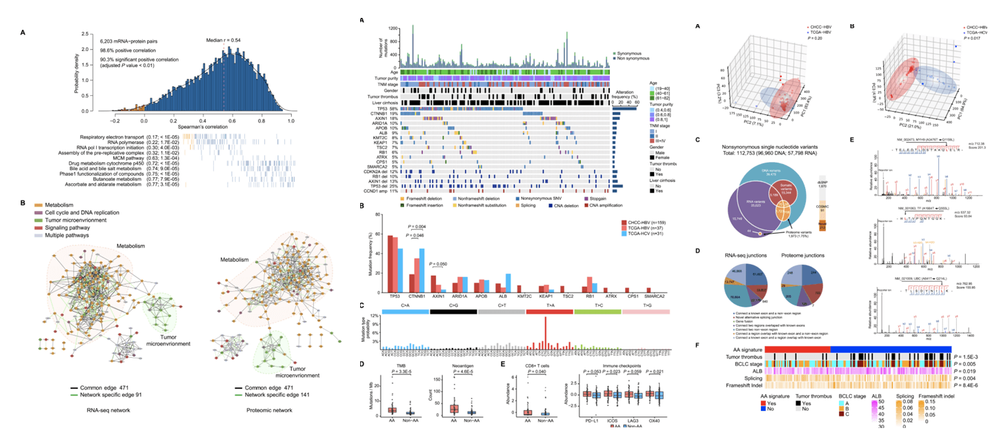 Proteomics studies reveal mechanisms of liver cancer development