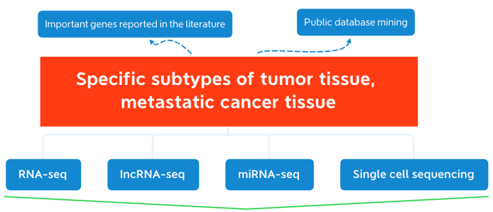 RNA-based Recurrence and Metastasis Researches