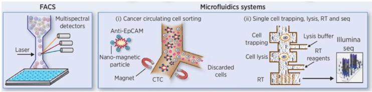 Research Scheme Related to Tumor Single Cell