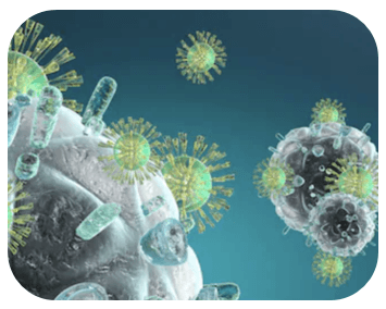 Search for Downstream Mechanisms of Target Molecules / Drugs