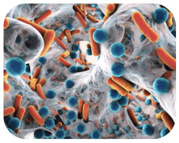 Search for Downstream Mechanisms of Target Molecules / Drugs