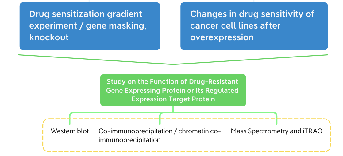 Tumor Resistance Mechanism Solutions