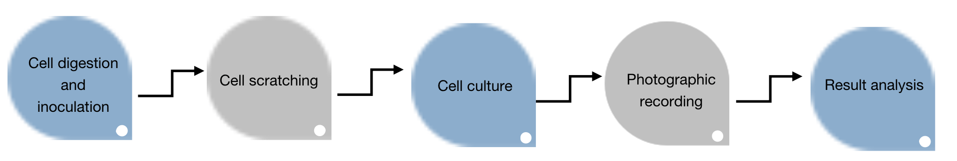 Tumor cell Scratch Test