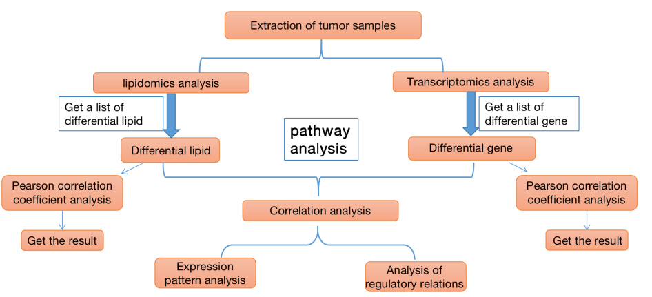 Tumor transcriptomics and lipidomics analysis