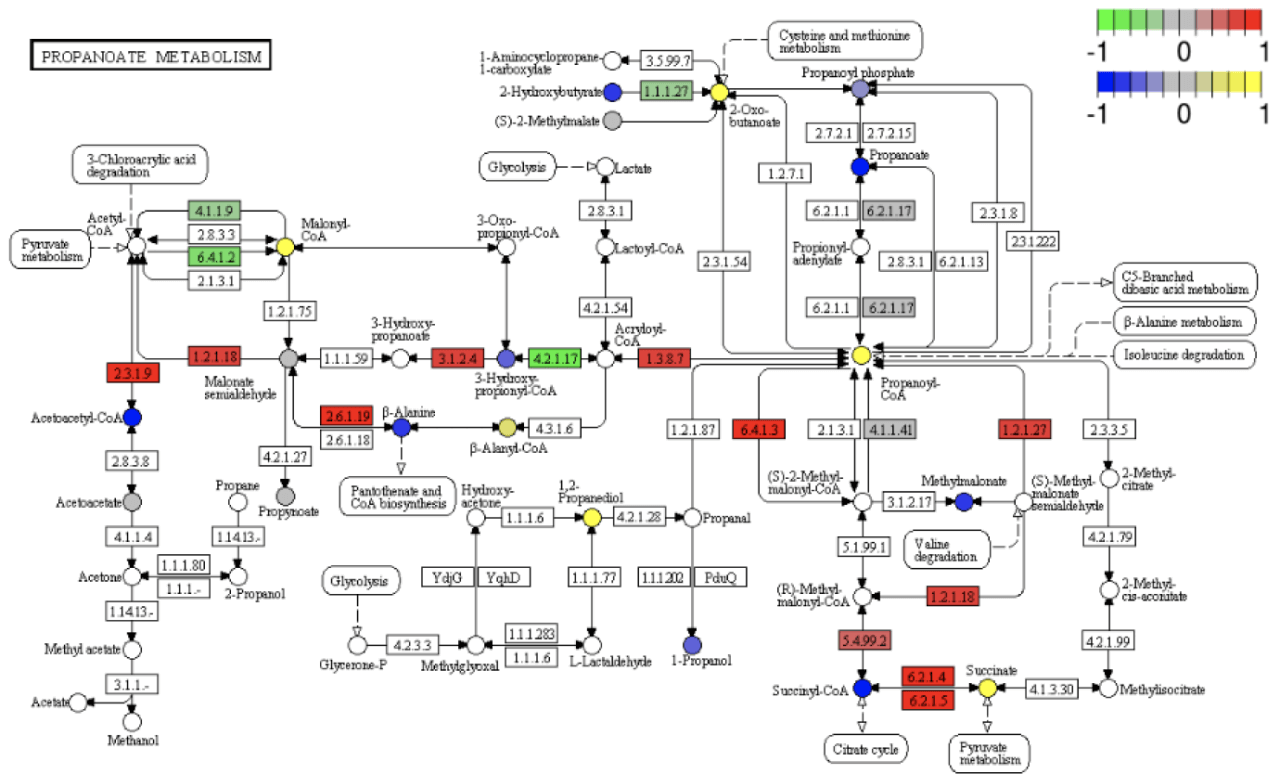 Correlation Analysis of miRNA, mRNA and Degradomics