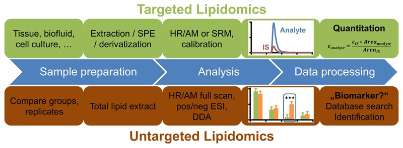 Comparative Analysis of Untargeted and Targeted Lipidomics