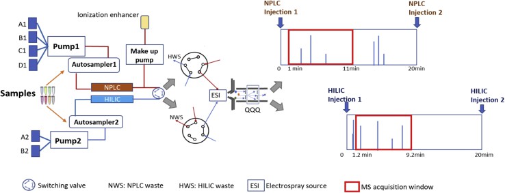 Schematic diagram of the multiplexed NPLC/HILIC-QqQ lipidomics setup.