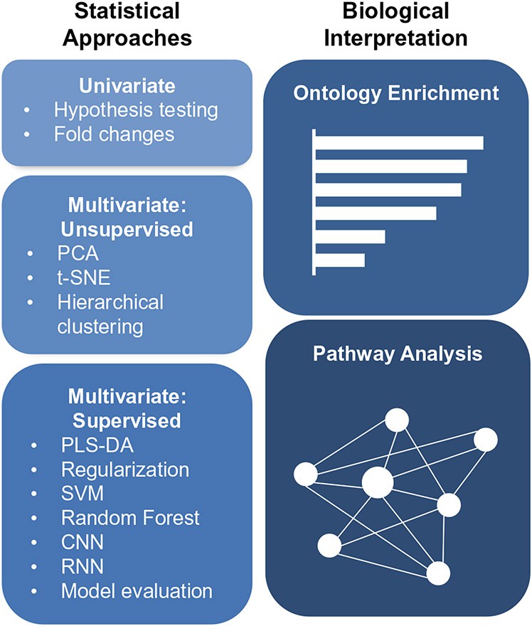 Overview of the analyses.