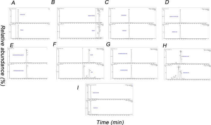 Chromatograms of nine water-soluble vitamins and their corresponding internal standards detected simultaneously using the HPLC-MS/MS method.