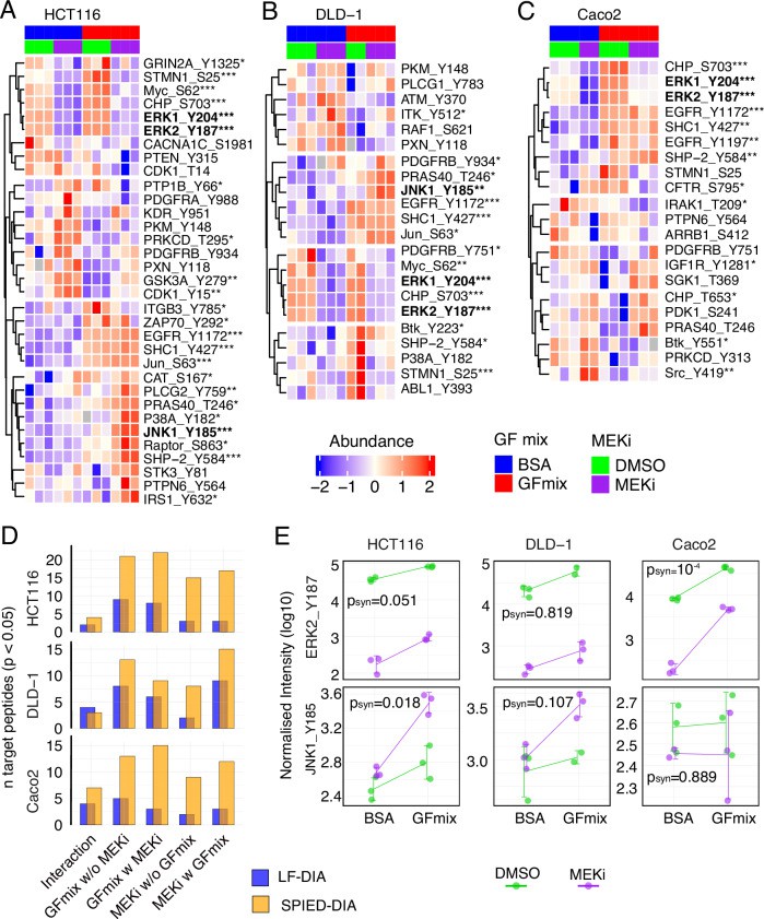Mechanistic role of SERCA2 phosphorylation at S663 in ischemic and healthy/protected hearts.