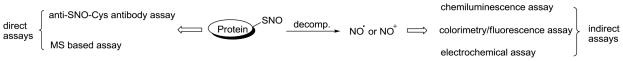 Common methods for SNO detection.