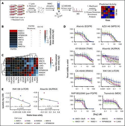 Predicting kinase activity and inhibitor sensitivity in MM by unbiased phosphoproteomics.
