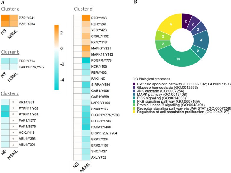 How to Analyze Phosphoproteomics Data with R and Bioinformatics Tools