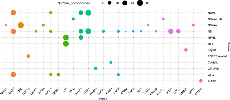 Bubble diagram of phosphorylation site of protein.