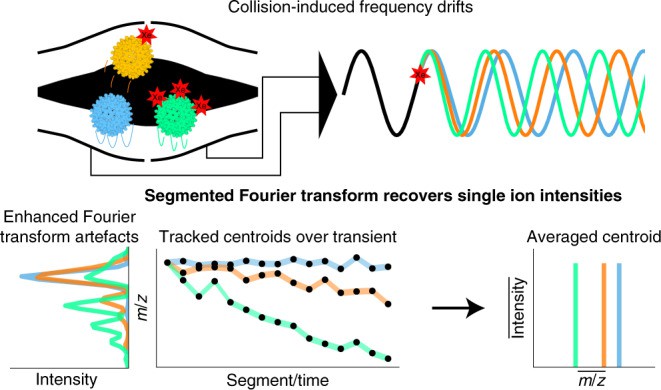 Single molecule mass spectrometry.