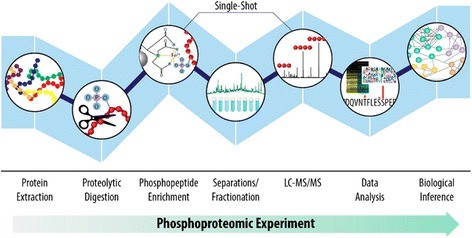 Phosphoproteomics in Cancer Research: A Data-Driven Approach