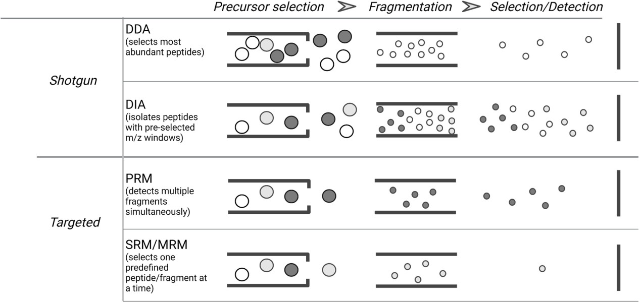 Types of MS data acquisition modes in bottom-up proteomics.