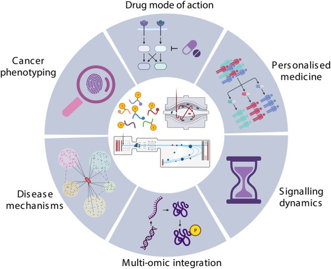 Application of phosphoproteomics in cancer research.