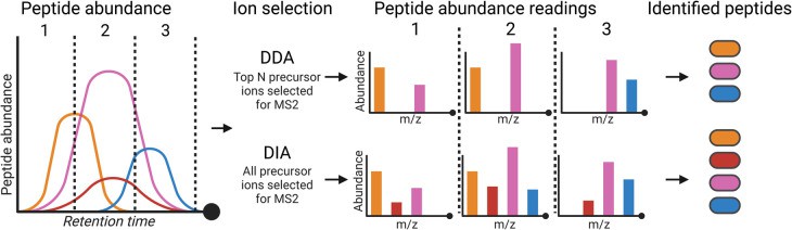 Overview of DIA and DDA approaches in proteomics.