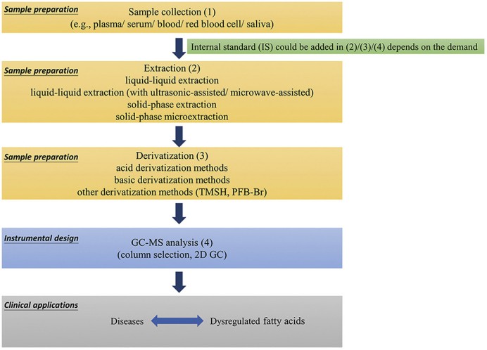 Gas chromatography-mass spectrometry-based analytical strategies for fatty acid analysis in biological samples.