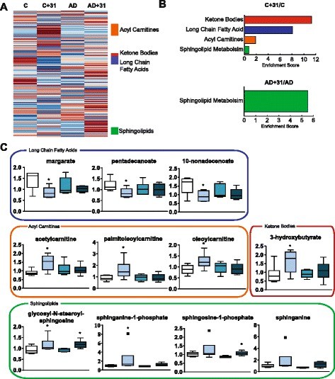 Metabolic analysis of plasma shows effects on lipid metabolism.