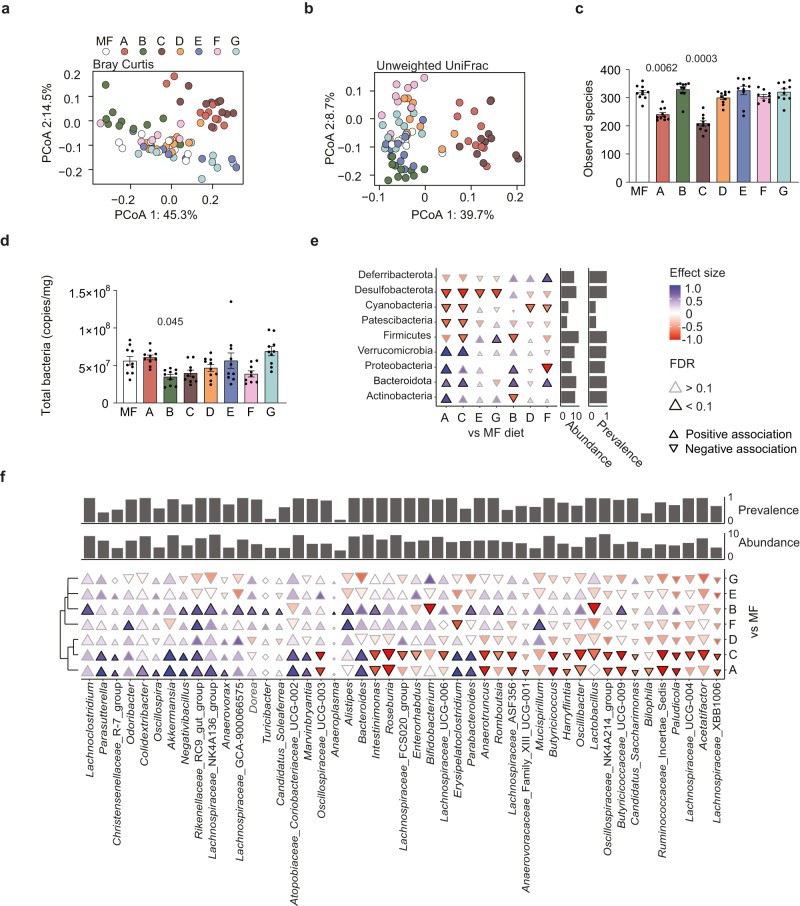 Dietary fatty acid composition influences cecal microbiota profile in mice.