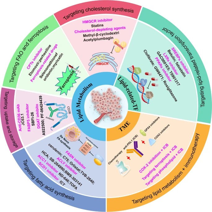 Lipid-targeted therapy in BC.