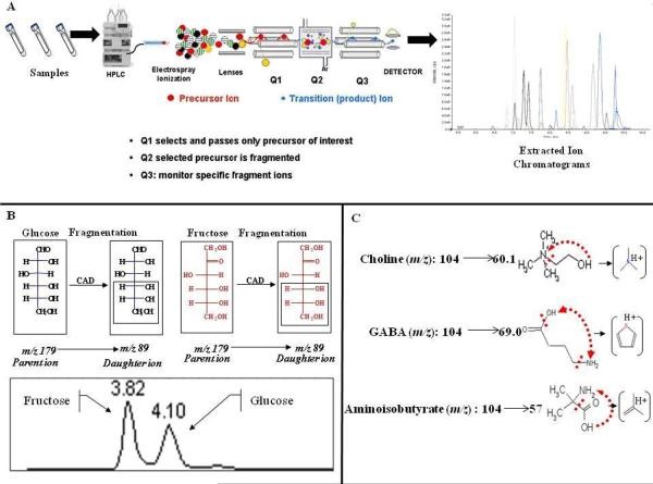 Long-Chain Fatty Acids Disorders: Biomarker Insights from Metabolomics