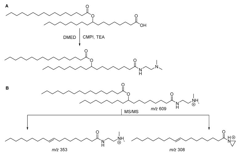 Sample Collection and Preparation Tips for Fatty Acid Profiling