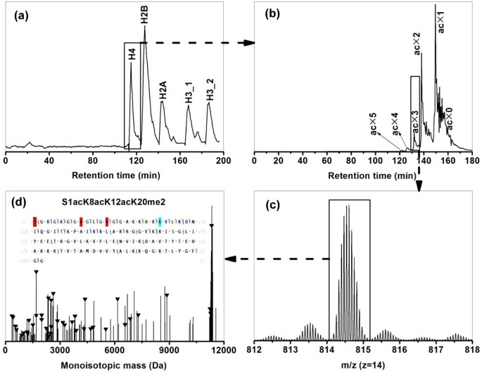 Comparing Top-Down vs Bottom-Up Approaches for Histone PTM Analysis