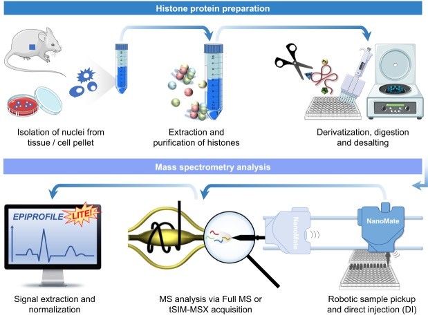 Dealing with Isobaric PTMs: Strategies for Confident Histone Modification Identification