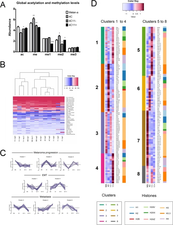 Analysis of global and combinatorial histone modifications (PTMs) during melanoma progression.