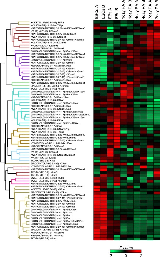 Heatmap of all quantified peptides using nLC-MS from histone H3 and H4.