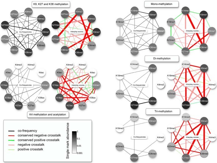 Fine-structure of conserved crosstalk between selected PTMs.