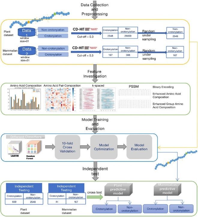 lowchart of this Prediction.