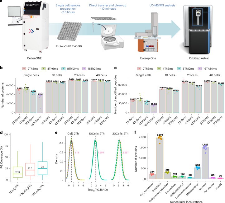 Histone PTMs in Single-Cell Epigenomics: Are We There Yet?